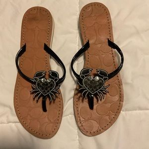 Coach crab flip flops